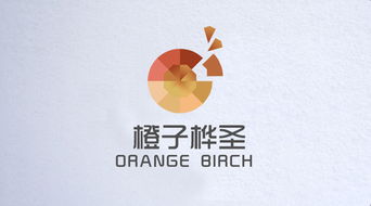橙子网络科技 信息技术驱动的创新先锋