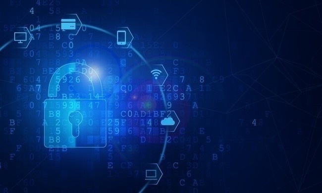 网络科技 拥抱数字化未来