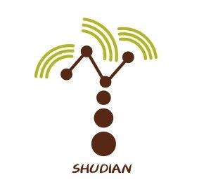 山东树点网络科技 点亮数字未来的科技新星